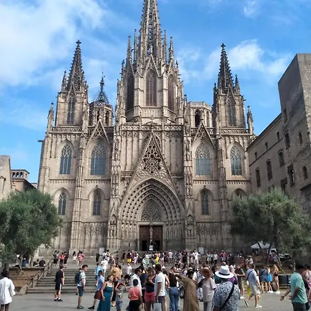 Blue Butterflies Apartment