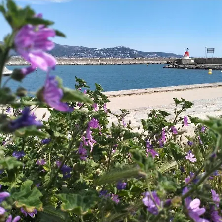 Blue Butterflies * Ampuriabrava