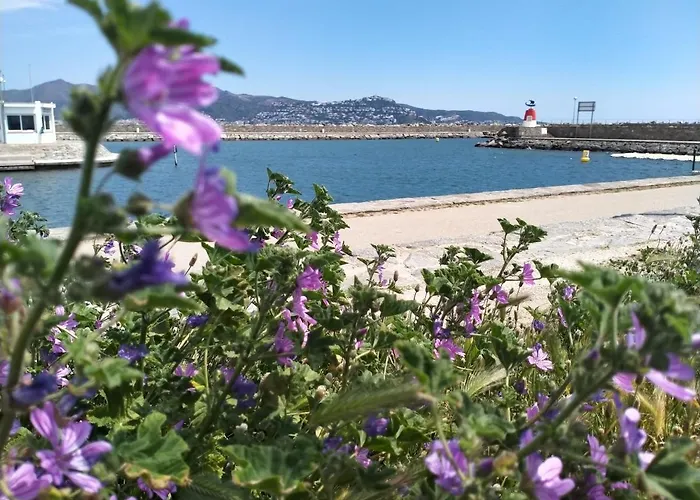 Blue Butterflies * Empuriabrava